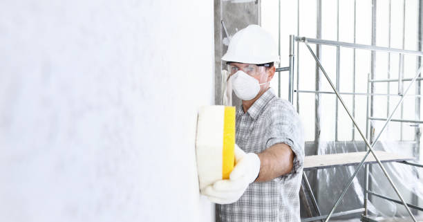 Why You Should Choose Our Mold Remediation Services in Saegertown, PA